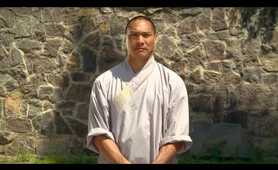 14 day Shaolin Kung Fu discovery (documentary film)
