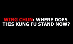 DOCUMENTARY, WING CHUN: Where Does This Kung Fu Stand Now?